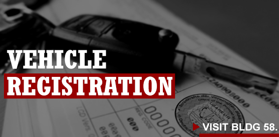 Button-2020-Vehicle-Registration.jpg